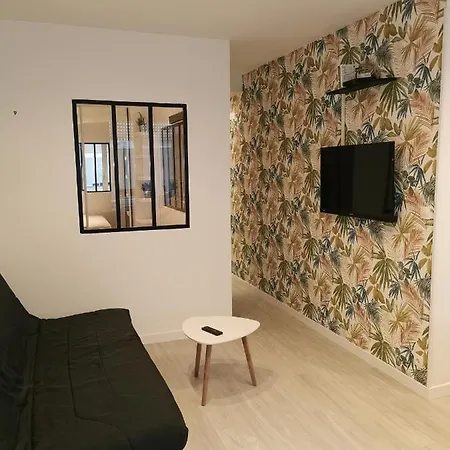 Le Bruxelles, 1 Chambre, Rez De Chaussée, Terrasse Sud