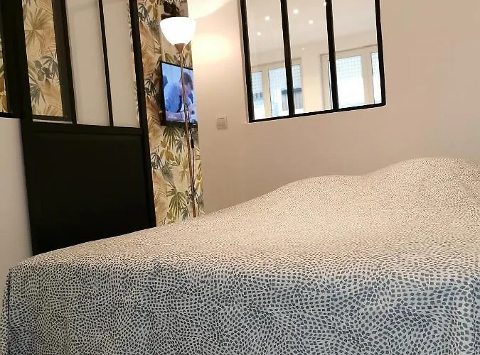 Le Bruxelles, 1 Chambre, Rez De Chaussee, Terrasse Sud Appartement