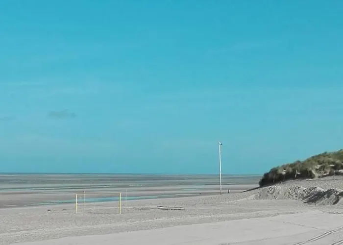 Le Bruxelles, 1 Chambre, Rez De Chaussée, Terrasse Sud